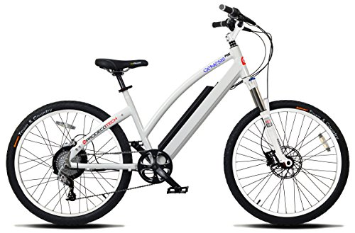 genesis electric bike